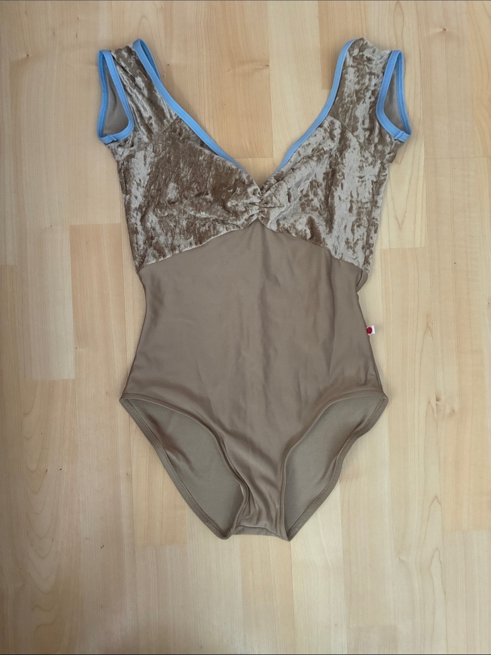Women's Taupe Velvet-Trim Bodysuit Leotard with Blue Piping Ellie L